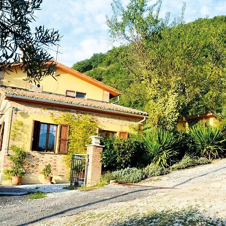 Villa Mischianti กุบบีโอ ภายนอก รูปภาพ