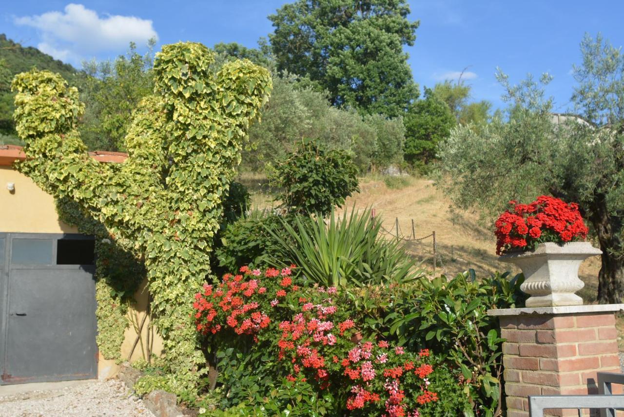 Villa Mischianti กุบบีโอ ภายนอก รูปภาพ