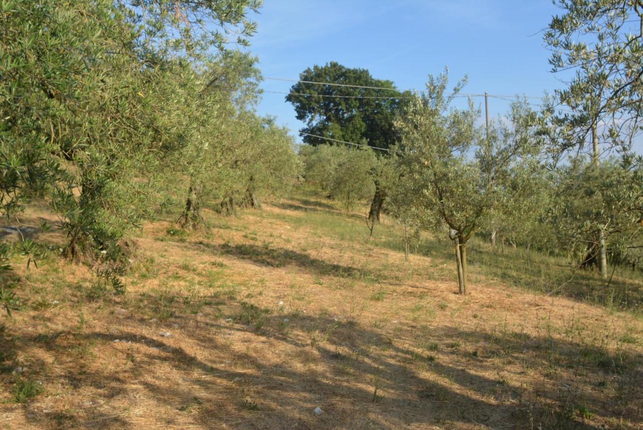 Villa Mischianti กุบบีโอ ภายนอก รูปภาพ