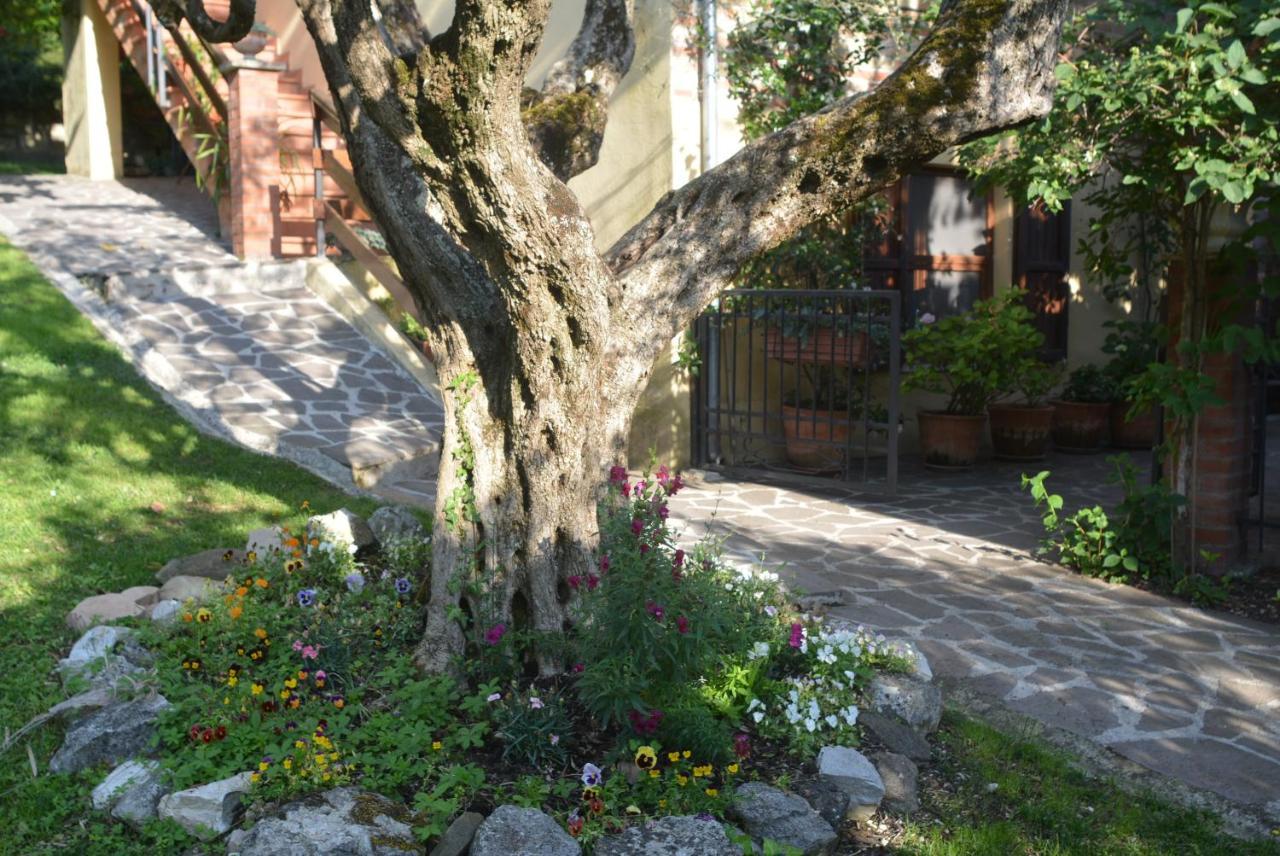 Villa Mischianti กุบบีโอ ภายนอก รูปภาพ