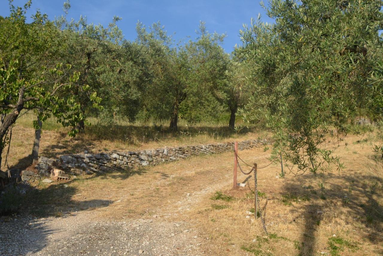 Villa Mischianti กุบบีโอ ภายนอก รูปภาพ